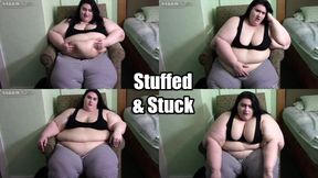 Stuffed & Stuck