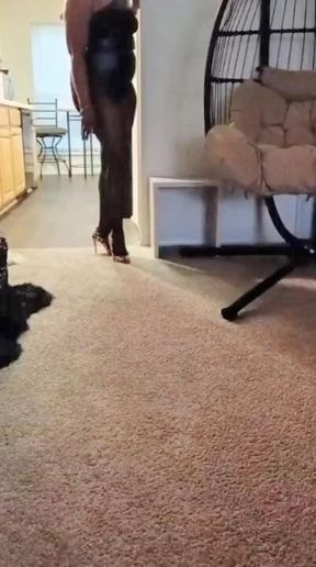 Full-body pantyhose tease | JOI | Shoe Worship