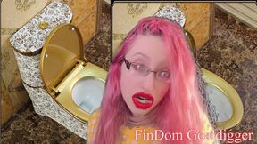 Toilet cleaner servant transformation!