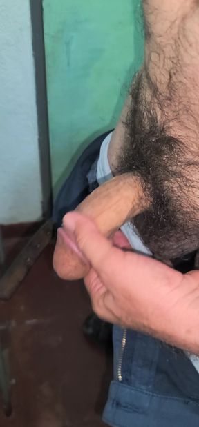 Exhibition of my cock.
