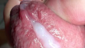 Crocodile Mouth Releases Fluid