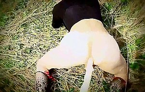 In a wheat field