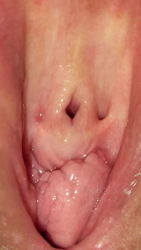 Mama Wants You Come Pvt