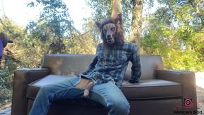 There's a werewolf on my couch (4K)