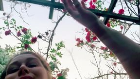 Je ne sais pas &agrave_ qui appartient ce jardin mais...