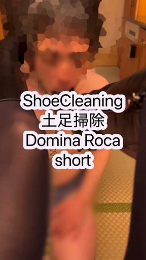 67. ShoeCieaning.