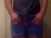 small uncut cock soft to hard jerk tease in boxers