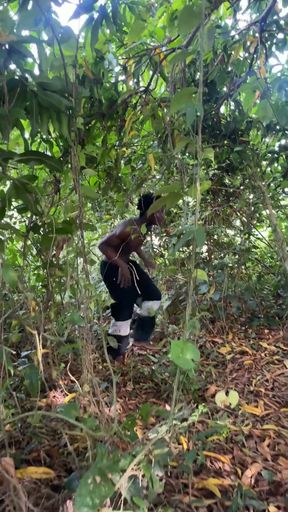 Black Mamba Was in His Bush