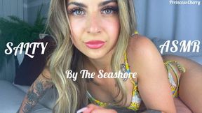 SALTY ASMR By The Seashore