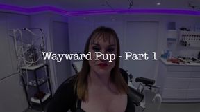 Wayward Pup 1