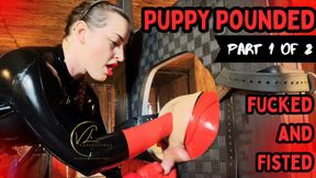Puppy Pounded - Part 1 of 2 - Strapon Fucked and Fisted by Vivienne l'Amour