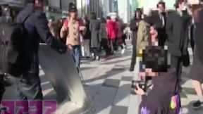 Harajuku Blue Character System: Deceived 's Explicit Adventure with Fruits?