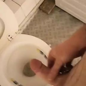 paw with a lot of sperm in the toilet