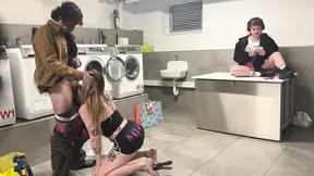 Two big amateur dogs get it on in the Laundromat.