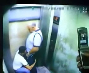 Daddy Bear and his Young Cub Caught on Camera