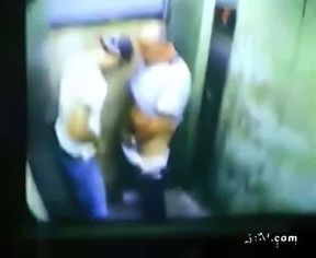 Daddy Bear and his Young Cub Caught on Camera