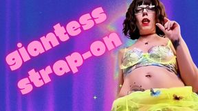 GIANTESS Strap-on JOI - Sara Desire XO - Femdom