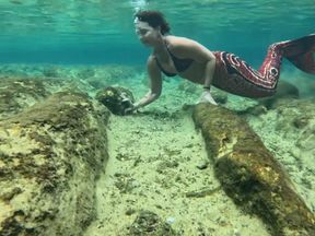 Carissa in her multiple underwater forms