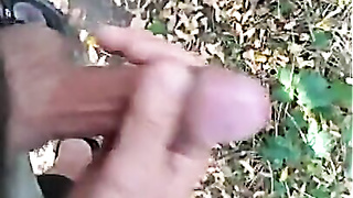 Forearm Ease in the Park