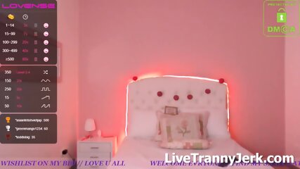 ashleymsx Live Tranny