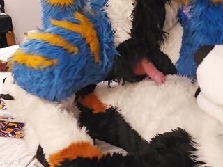 Large dog teaches the little kitty how to sit #knot #knotfucking