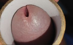 Sharpening the Glans Penis with Liquid Glue.