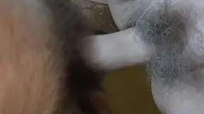 Hairy grandmas with huge hanging tits