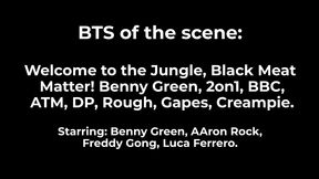 small bts of the scene: welcome to the jungle, black meat matter! - benny green, 2on1, bbc, atm, dp, rough, gapes, creampie.