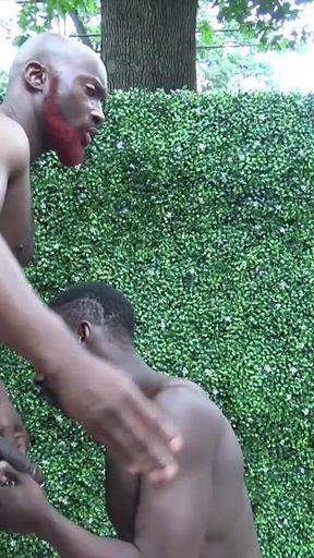 Big Black Cock Fucks and Breeds Bottom Outside