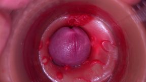 Camera in Vagina, Cervix POV, &quot;Creampie&quot; 4k