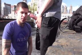 absorbing & poking On A NYC Rooftop