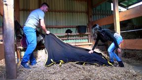 Busty Mature Mom in Stockings Gets Pussy Pounded Hard