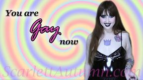 You are Gay now - MP4 SD 480p