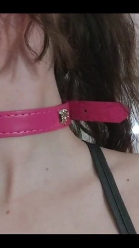 What Do You Think of My New Collar?