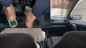 Early Cold Start And No Trip To The Park!