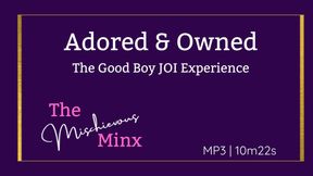 Adored & Owned - A Good Boy JOI
