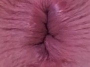 My winking ass hole