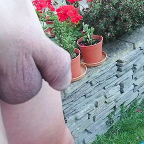 pissing in the garden