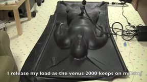 Vac Bed Venus 2000 with Fleshlight