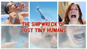 THE SHIPWRECK OF LOST TINY HUMANS