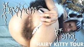 Hairy Kitty Full Body Tour