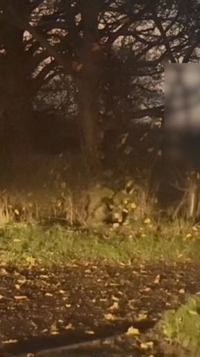 Unable to get back to car naked and barefoot 8 cars caught me naked in public   Clip 2