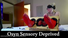 Osyn Sensory Deprived