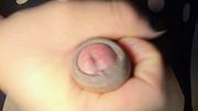 TRANS LOVER SESSION FEATURING PUSSY AND HARD FUCKING VELVET AKAGE