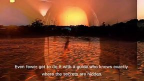 WILD BRAZIL EXPERIENCE: LIVE INTIMACY, JUNGLE AND DUNES - AN EXCLUSIVE JOURNEY
