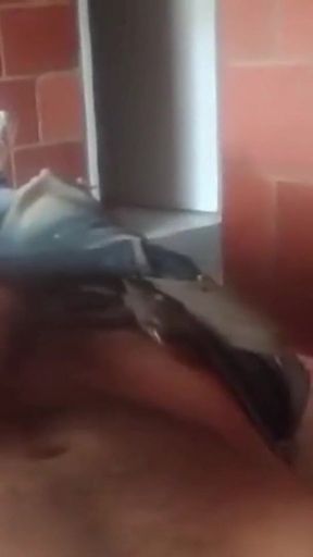 The King of Wild Porn Is Me Wild Handjob in the Room