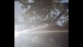 Leggittima difesa ,con spari verso LADRI e PERSONE OFFENSIVE .Per me sono gi&agrave_ morti al 100%.Io unico immortale .