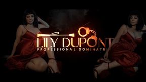 MISTRESS LILY DUPONT : KICK IN THE BELLY FOR GOLDY SLAVE