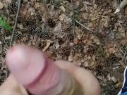 Aftrekken en klaarkomen in het bos