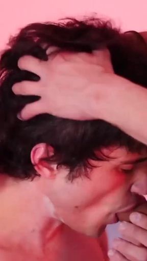 BRINGMEABOY - Payton Daniel and Adam